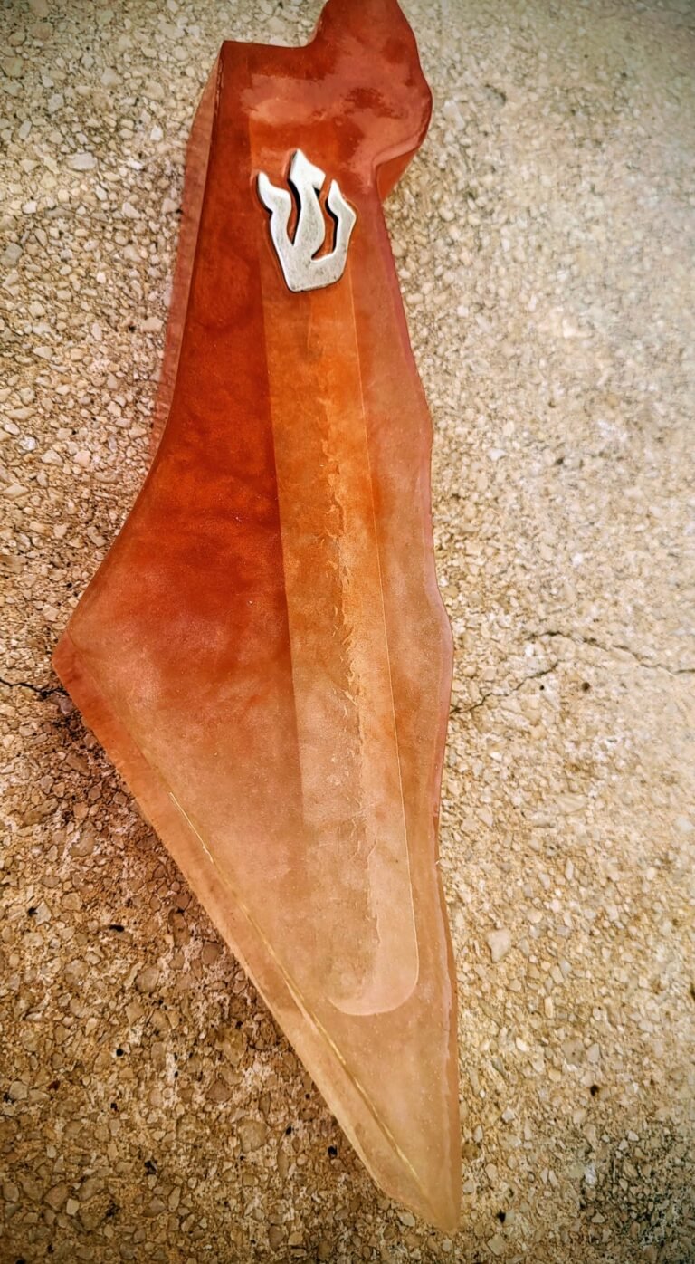 WhatsApp Image 2026-02-15 at 19.49.42(2)