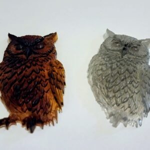 ינשוף יגיע בצבעים שונים לפי בחירה